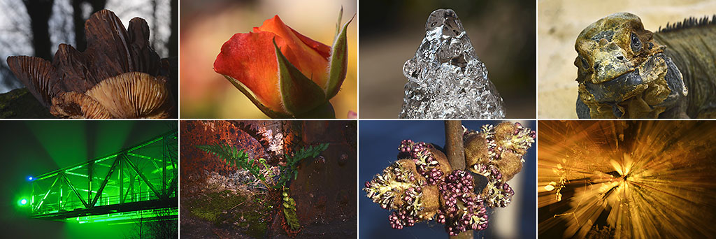 Eine kleine Fotostrecke ...